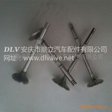 安庆市鼎立汽车配件有限公司 - 气门及部件产品目录